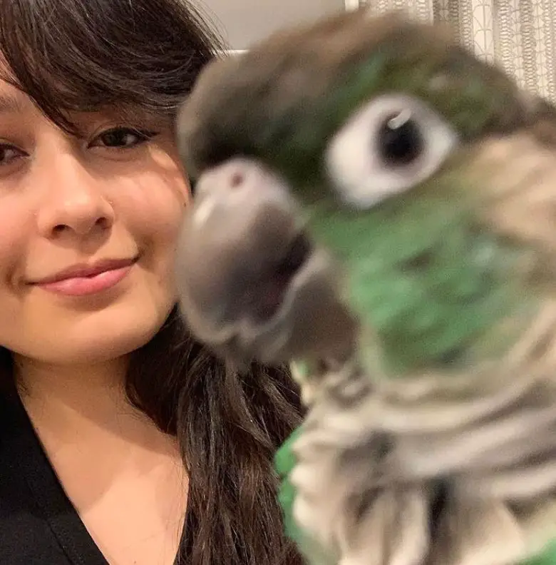 Jaiden Animations Face Reveal On Instagram